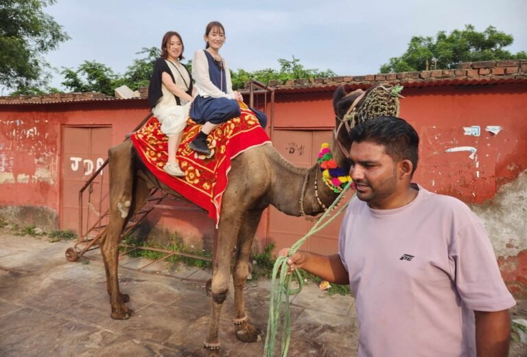 Agra and Jaipur Tour From Delhi for 2 Days