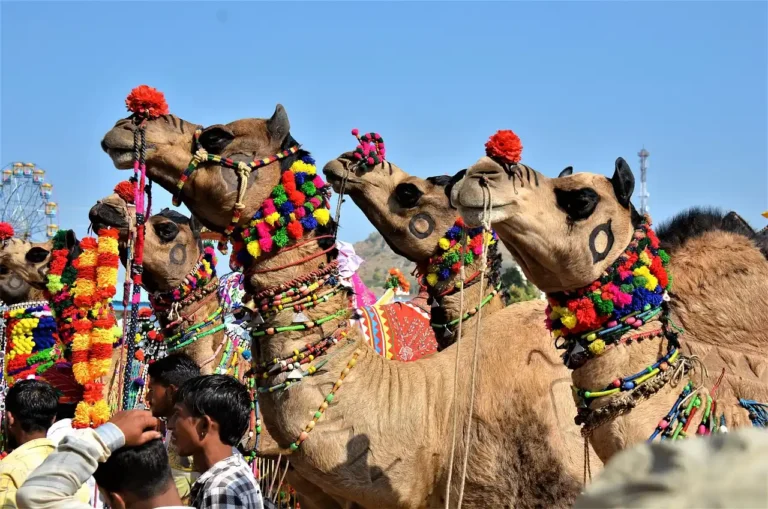 Golden Triangle Tour with Pushkar and Jodhpur