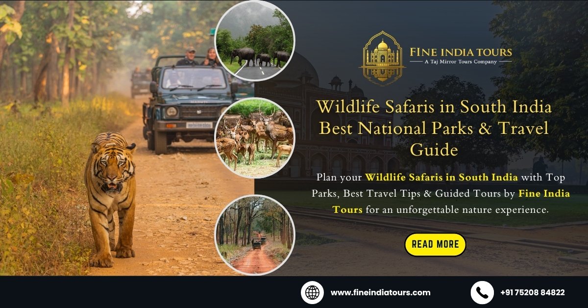 Wildlife Safaris in South India