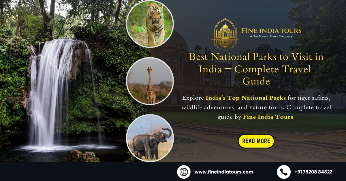 Best National Parks to Visit in India