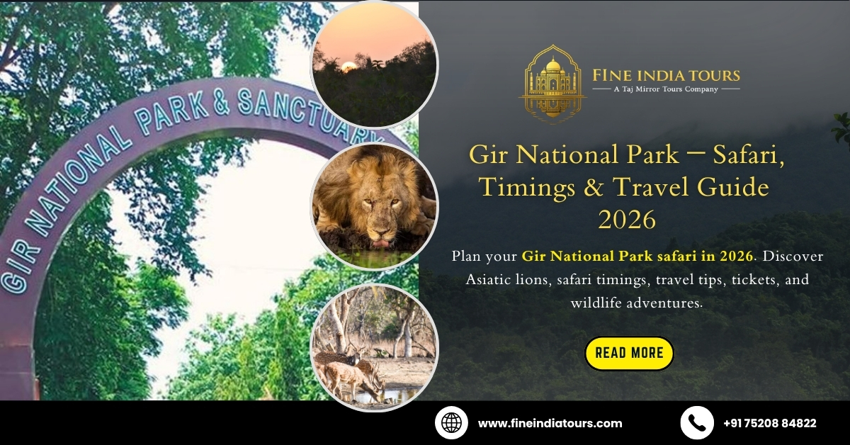 Gir National Park