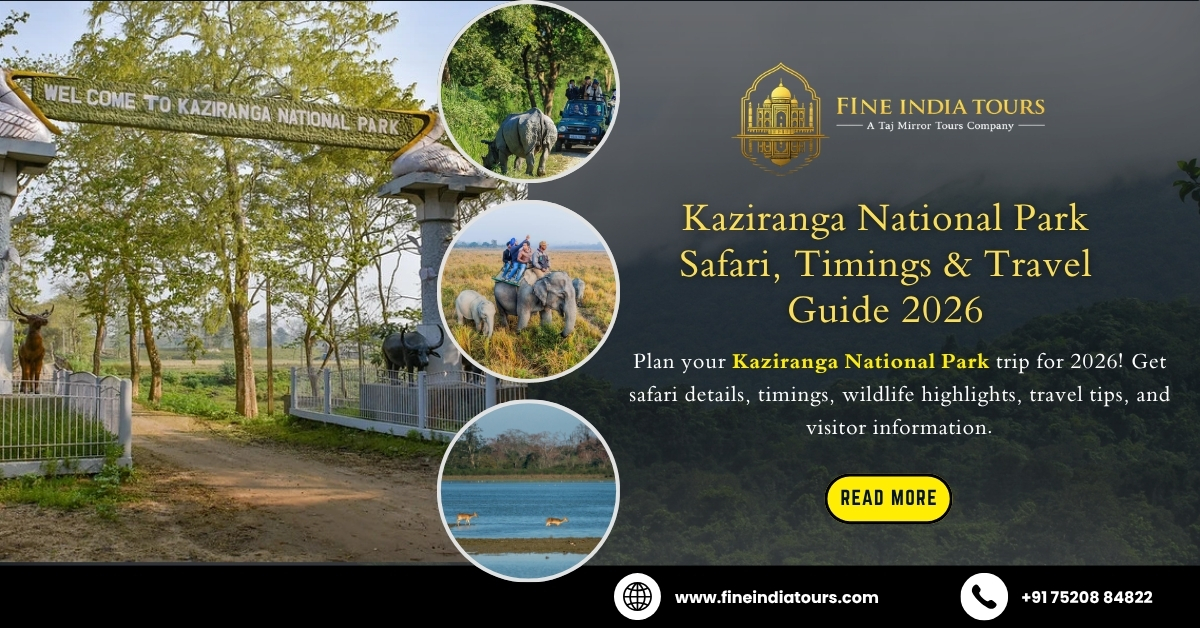 Kaziranga National Park