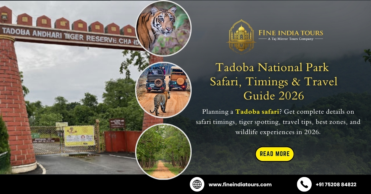 Tadoba National Park