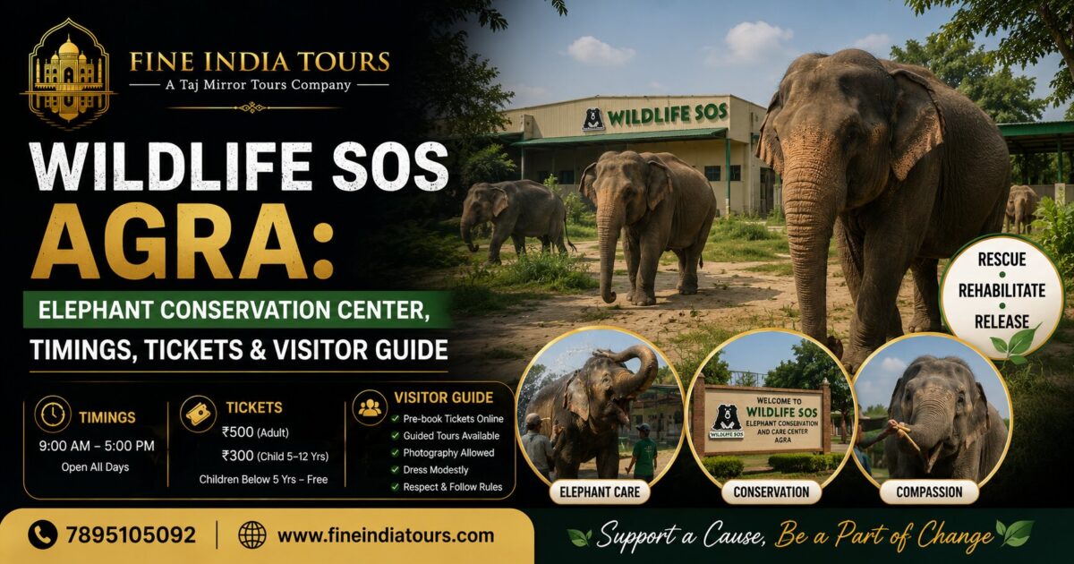 Wildlife SOS Agra