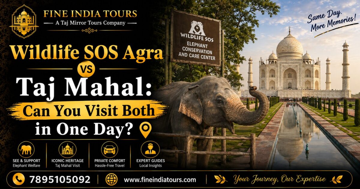 Wildlife SOS and Taj Mahal same day